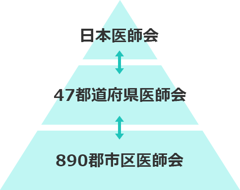 医師会の構成図