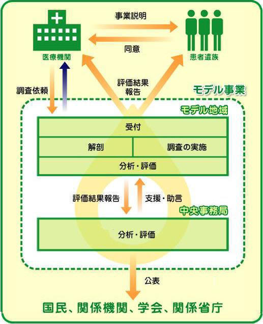 事業の流れの図